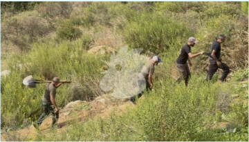 الجيش اللبناني يفحص حفرة مشتبها بها في حرج صنوبر شرق بيروت الجيش اللبناني يفحص حفرة مشتبها بها في حرج صنوبر شرق بيروت