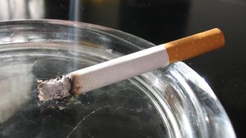 هكذا يهربون كروز الدخان! هكذا يهربون كروز الدخان!