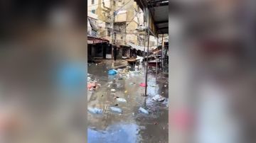 بالفيديو: صبرا تغرق بالفيديو: صبرا تغرق