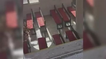 مشهد مروع.. شاهد عيان يروي تفاصيل الهجوم المسلح على مشيعي جنازة داخل كنيسة الكرك الأردنية مشهد مروع.. شاهد عيان يروي تفاصيل الهجوم المسلح على مشيعي جنازة داخل كنيسة الكرك الأردنية