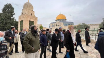 1200 مستوطن يقتحمون باحات المسجد الأقصى اليوم 1200 مستوطن يقتحمون باحات المسجد الأقصى اليوم