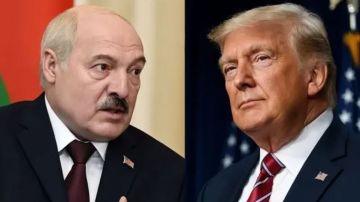 بيلاروسيا تدرس عقد لقاء بين لوكاشينكو وترامب