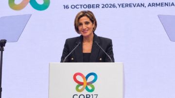الزين: استعادة النظم البيئية في صلب إعادة الإعمار الزين: استعادة النظم البيئية في صلب إعادة الإعمار