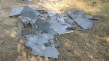 الجيش الإيراني يدمر مسيرة أميركية من طراز لوكاس في أجواء بندر عباس