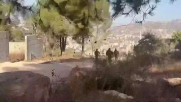 بالفيديو: منعوهم من قطف الزيتون