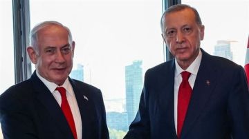 وهاب: نتنياهو يهين أردوغان يوميا في سوريا وأردوغان يتجاهل الإهانات خوفا من أبو يائير وهاب: نتنياهو يهين أردوغان يوميا في سوريا وأردوغان يتجاهل الإهانات خوفا من أبو يائير