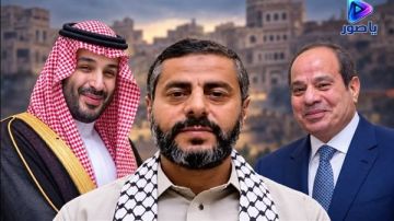 البخيتي: تصريحات السيسي حول السعودية تكشف حالة الذعر التي تعيشها المملكة البخيتي: تصريحات السيسي حول السعودية تكشف حالة الذعر التي تعيشها المملكة