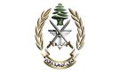 الجيش: تفكيك قنبلتي طيران غير منفجرتين من مخلفات العدوان الإسرائيلي في بلدتي كفرا وتولين - lb