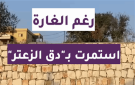 بالفيديو: رغم الغارة.. جنوبية استمرت بـدق الزعتر