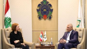 اللواء شقير عرض مع بلاسخارت للأوضاع