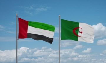 عكاظ السعودية: الغضب الجزائري من الإمارات يأتي من ملفات أمنية بالدرجة الأولى