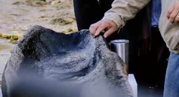 أقدم من الأهرامات المصرية.. باحثون توصلوا إلى اكتشاف جديد