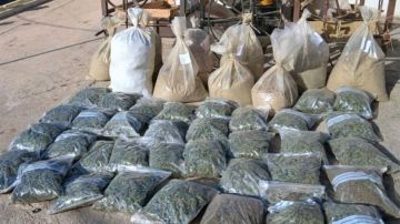 بالصور: الجيش يضبط آلات لتصنيع المخدرات