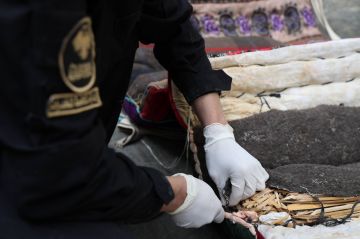 بالصور: 180 ألف حبة كبتاغون في أحذية وسروج خيل! بالصور: 180 ألف حبة كبتاغون في أحذية وسروج خيل!