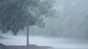 شباط محتار.. ما بين الغبار والأمطار!