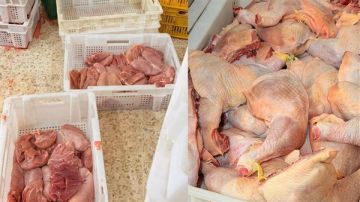 البيض والدواجن يشكلان المصدر الرئيسي... إجراءات الوقاية من عدوى السالمونيلا!