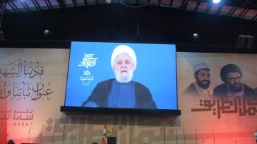 قاسم للحكومة: خطيئة كبرى قاسم للحكومة: خطيئة كبرى