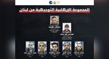 أدرعي: الشاباك يحبط نشاط خلية تحرك من لبنان