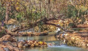 المبادئ البيئية في الأمثال اللبنانية (1 2)