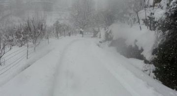 الثلوج تغطي مرتفعات الضنية الثلوج تغطي مرتفعات الضنية