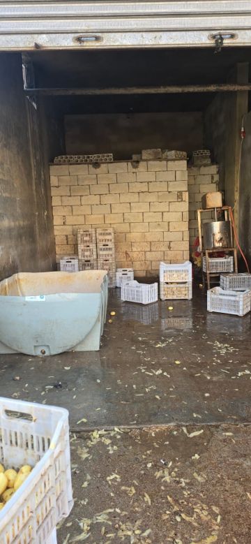 بالصور: جنون الفساد تابع... توم صنع في خيم النازحين!