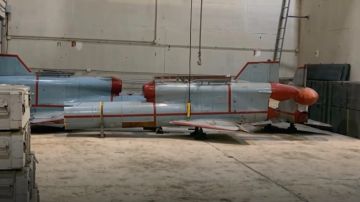 تفاصيل اكتشاف نفق الحزب السري