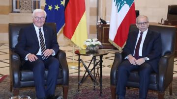 سلام بحث مع الرئيس الإلماني في مسار الإصلاحات