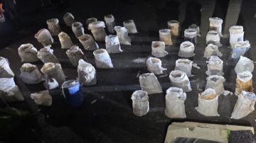 الجيش: دهم منازل وتوقيف مطلوبين وضبط كمية كبيرة من المخدرات