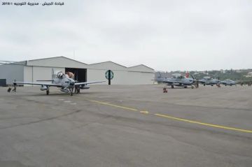 قاعدة حامات الجوية: ما الذي نعرفه عنها؟ ولماذا الجدل حولها الآن؟