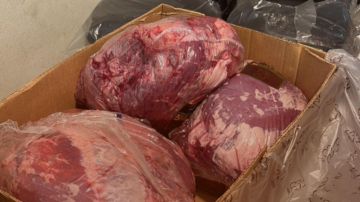 لحوم فاسدة.. بكميات كبيرة! لحوم فاسدة.. بكميات كبيرة!