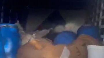 بالفيديو: كاكاو ومنكهات منتهية الصلاحية! بالفيديو: كاكاو ومنكهات منتهية الصلاحية!