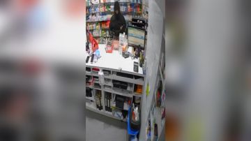 بالفيديو: بعدما هدد صيدليا بمسدس... مخابرات الجيش توقفه بالفيديو: بعدما هدد صيدليا بمسدس... مخابرات الجيش توقفه