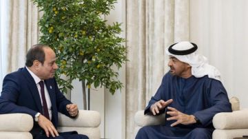 تشاور أخوي بين مصر والإمارات