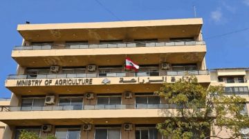 ما حقيقة انتشار مرض وبائي جديد؟