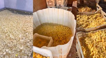 ضبط أطنان من الثوم والبطاطا الفاسدة وختم المعمل بالشمع الأحمر ضبط أطنان من الثوم والبطاطا الفاسدة وختم المعمل بالشمع الأحمر