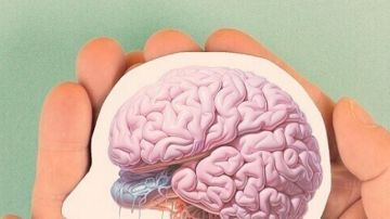 طريقة جديدة لتجديد خلايا الدماغ طريقة جديدة لتجديد خلايا الدماغ