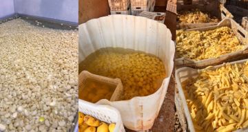 قوى الأمن: إقفال معمل لبيع الثوم والبطاطا في قب الياس وتوقيف صاحبه وتلف 6,3 أطنان منها