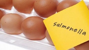 إجراءات الوقاية من عدوى السالمونيلا إجراءات الوقاية من عدوى السالمونيلا