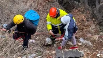 فرق الدفاع المدني تعيد العاملة الإثيوبية سالمة بعد فقدانها في الأحراج