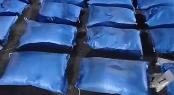 عملية دهم للجيش وضبط كمية كبيرة من المخدرات