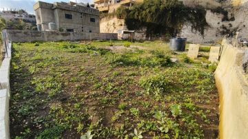 فرصة هامة: عقار 820 متر مع رخصة عمار بمساحة 282 متر للبيع في الصرفند فرصة هامة: عقار 820 متر مع رخصة عمار بمساحة 282 متر للبيع في الصرفند