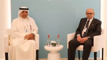 لقاء حكومي عربي لدعم مجلس الإنماء والإعمار