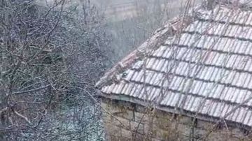 بالفيديو: حمانا بالأبيض