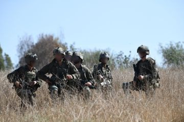 جريمة حرب.. الأورومتوسطي لحقوق الإنسان يدين رش إسرائيل مواد كيميائية في أراضي سوريا ولبنان