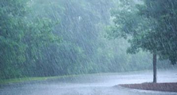 أمطار وعواصف رعدية وتساقط ثلوج مرتفعة اعتبارا من الجمعة أمطار وعواصف رعدية وتساقط ثلوج مرتفعة اعتبارا من الجمعة