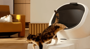 صندوق فضلات ذكي يراقب صحة القطط يوميا