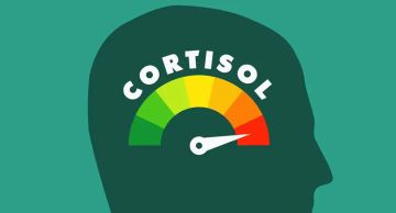 هرمون التوتر يتصدر الترند.. أطباء يحذرون من تضخيم الكورتيزول ونصائح المؤثرين