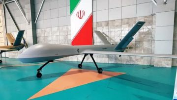 ما هي المسيرة الإيرانية شاهد-139 التي أسقطت قرب أبراهام لينكولن وما مهامها الخفية؟ ما هي المسيرة الإيرانية شاهد-139 التي أسقطت قرب أبراهام لينكولن وما مهامها الخفية؟