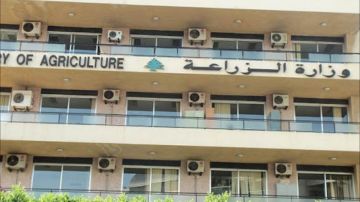 الزراعة: تقدم الحملة الوطنية للتحصين ضد داء الحمى القلاعية