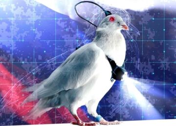 مشروع روسي لتحويل الحمام إلى طائرات مسيرة!؟